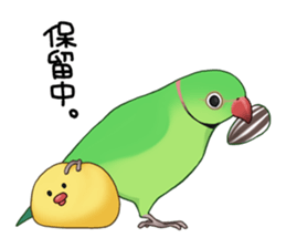 Ring-necked Sticker sticker #14185185