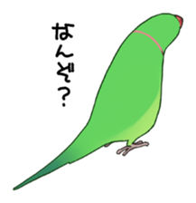 Ring-necked Sticker sticker #14185186