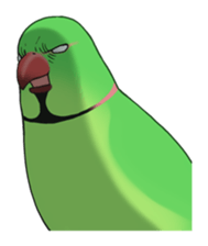 Ring-necked Sticker sticker #14185193