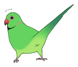 Ring-necked Sticker sticker #14185196