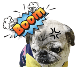 Lovely Pug Stickers sticker #14187036