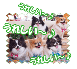 chihuahuaFan sticker #14187946