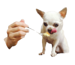 dog sakura sticker #14188389