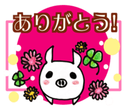 Cute little pig Shirochan Part.2 sticker #14188886