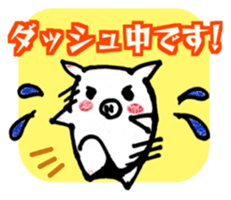 Cute little pig Shirochan Part.2 sticker #14188891