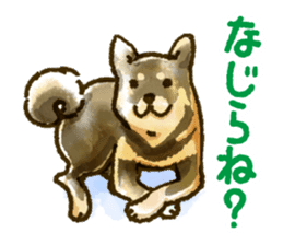 Niigata dialect speaking shibainu sticker #14189750