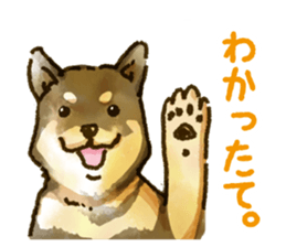 Niigata dialect speaking shibainu sticker #14189752