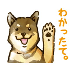 Niigata dialect speaking shibainu sticker #14189752