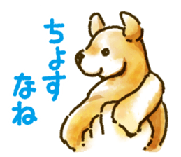 Niigata dialect speaking shibainu sticker #14189753