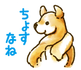 Niigata dialect speaking shibainu sticker #14189753