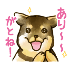 Niigata dialect speaking shibainu sticker #14189755