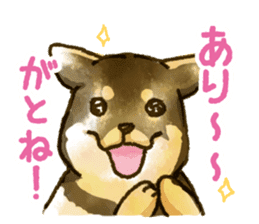Niigata dialect speaking shibainu sticker #14189755