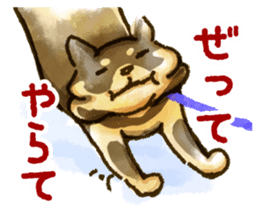 Niigata dialect speaking shibainu sticker #14189758