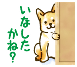 Niigata dialect speaking shibainu sticker #14189759