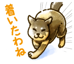 Niigata dialect speaking shibainu sticker #14189760