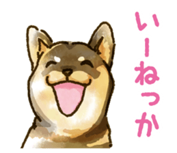 Niigata dialect speaking shibainu sticker #14189762