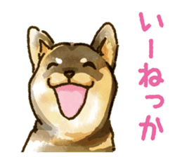 Niigata dialect speaking shibainu sticker #14189762