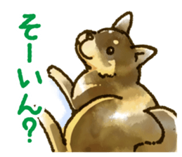 Niigata dialect speaking shibainu sticker #14189763