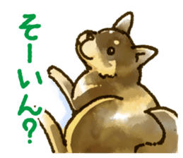 Niigata dialect speaking shibainu sticker #14189763