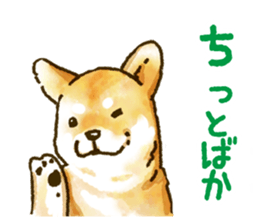 Niigata dialect speaking shibainu sticker #14189764