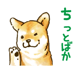 Niigata dialect speaking shibainu sticker #14189764