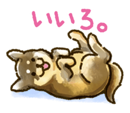Niigata dialect speaking shibainu sticker #14189765