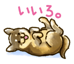 Niigata dialect speaking shibainu sticker #14189765