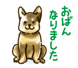 Niigata dialect speaking shibainu sticker #14189766
