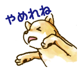 Niigata dialect speaking shibainu sticker #14189767