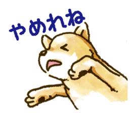 Niigata dialect speaking shibainu sticker #14189767