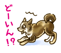 Niigata dialect speaking shibainu sticker #14189769