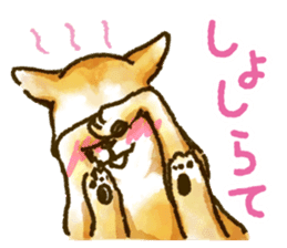 Niigata dialect speaking shibainu sticker #14189772