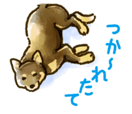Niigata dialect speaking shibainu sticker #14189774
