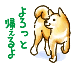 Niigata dialect speaking shibainu sticker #14189775
