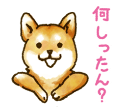 Niigata dialect speaking shibainu sticker #14189777