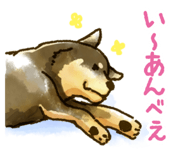 Niigata dialect speaking shibainu sticker #14189779