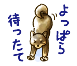 Niigata dialect speaking shibainu sticker #14189780