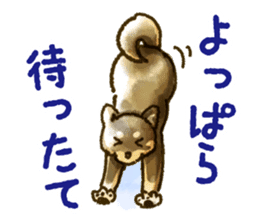 Niigata dialect speaking shibainu sticker #14189780