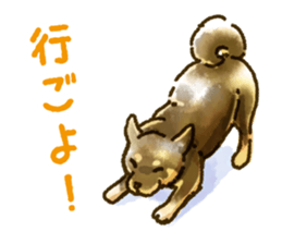 Niigata dialect speaking shibainu sticker #14189781