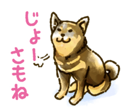 Niigata dialect speaking shibainu sticker #14189782