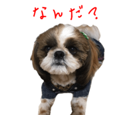 yutta sticer sticker #14192846