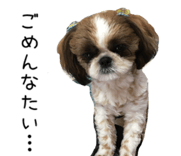 yutta sticer sticker #14192849