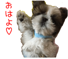 yutta sticer sticker #14192850