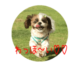 yutta sticer sticker #14192852