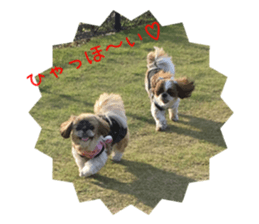 yutta sticer sticker #14192853