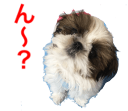 yutta sticer sticker #14192856