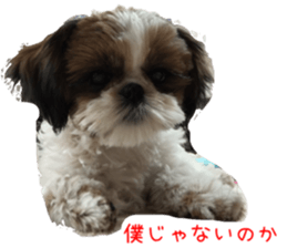 yutta sticer sticker #14192857