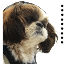 yutta sticer sticker #14192859