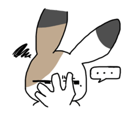 Calico Rabbit sticker #14192918