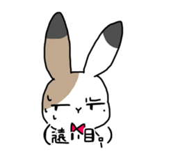 Calico Rabbit sticker #14192934